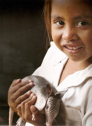 armadillo