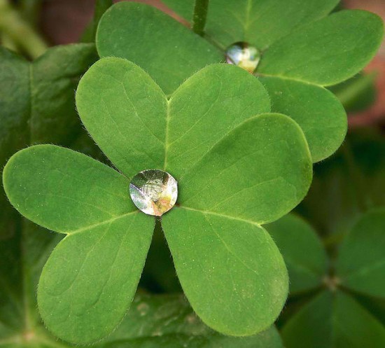 two-drops-of-water