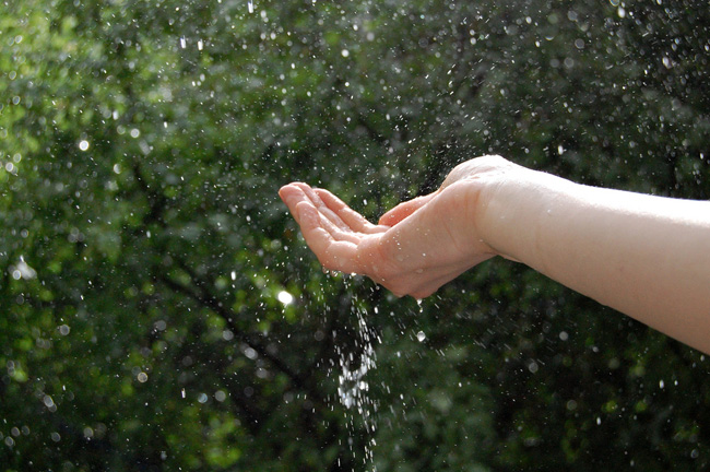 rain