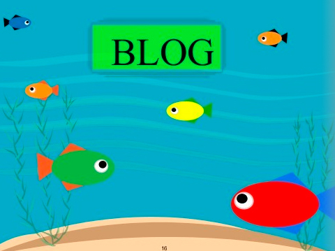 Blog