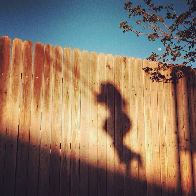 swing
