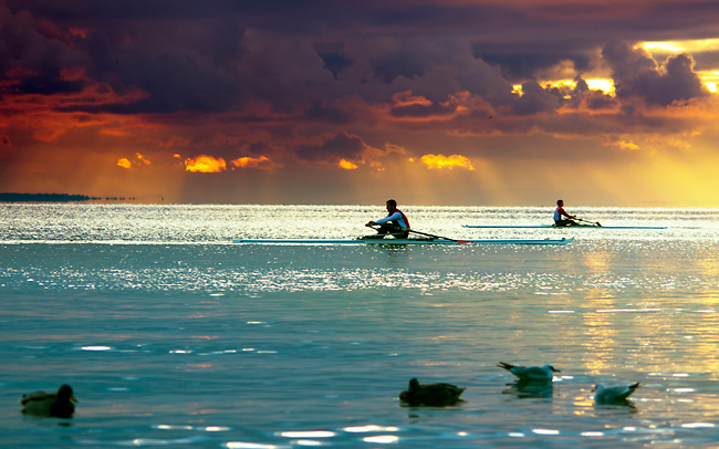 rowers
