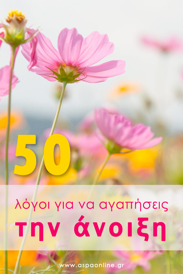 50 λόγοι για να αγαπήσεις την άνοιξη
